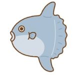サカナ